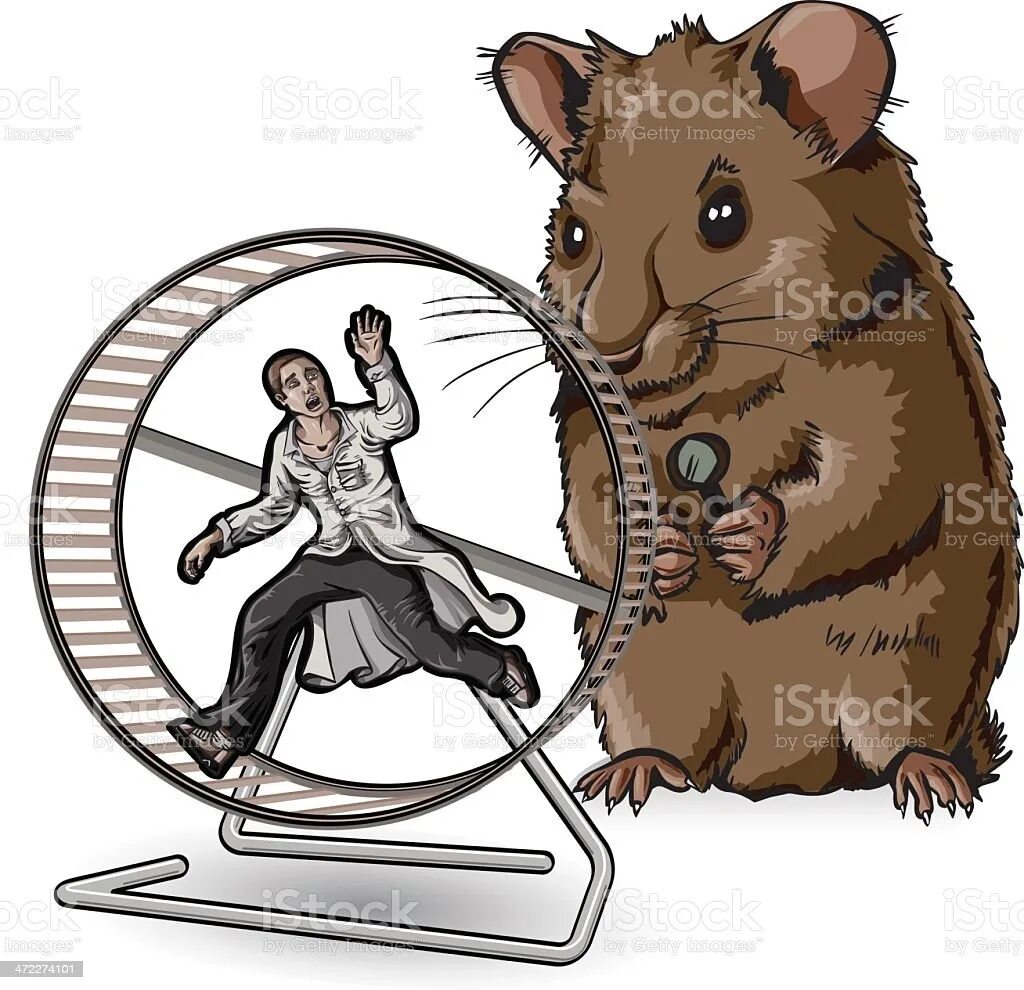 Клетка для мышки. Лабораторная крыса. Коляска для крыс инвалидов. Опыты на мышах. Современная крыса.