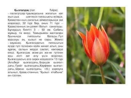 Орыс әйелдерімен жыныстық қатынас