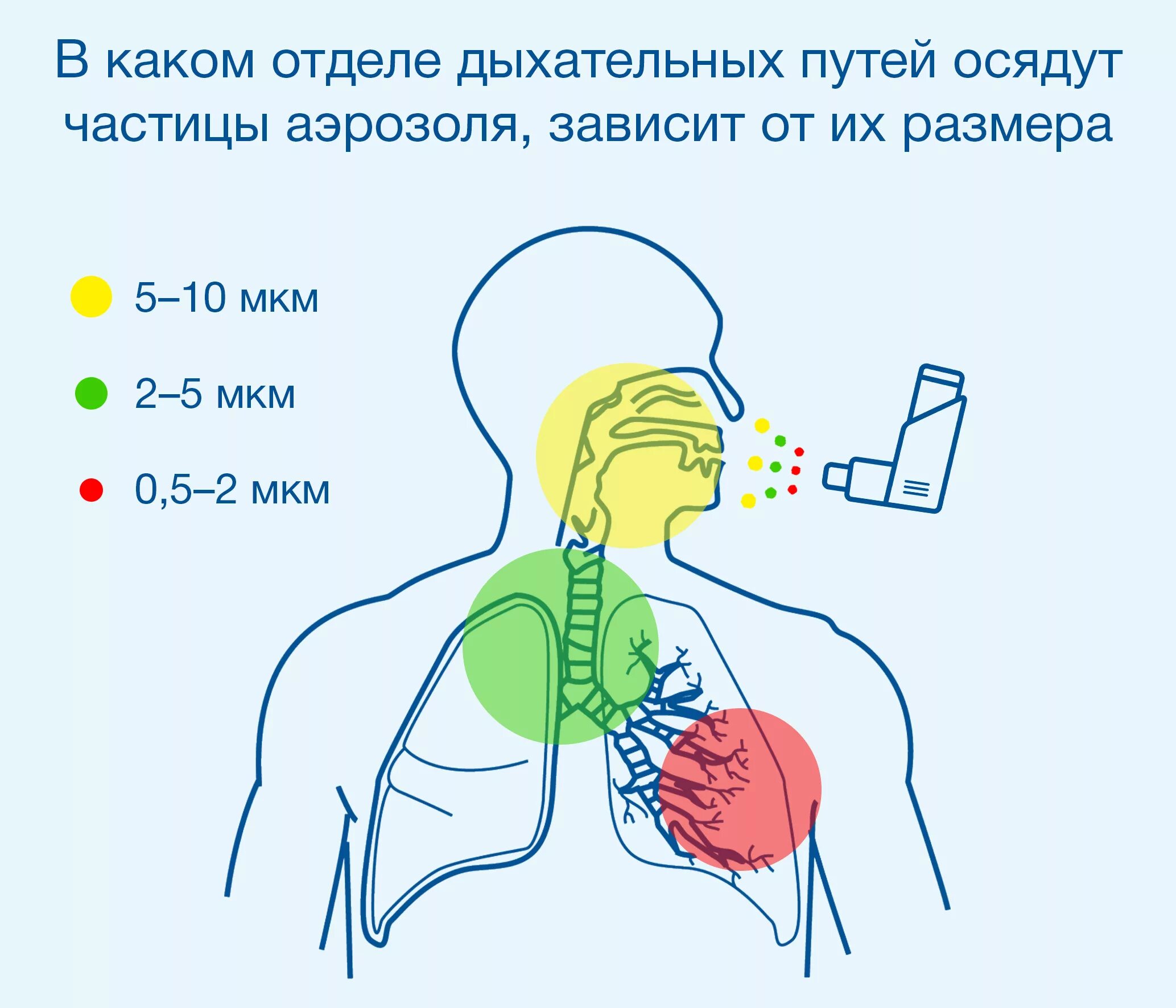 Через сколько часов делать ингаляции. Ингалятор размер частиц 10 мкм. Размер частиц для небулайзера. Ингалятор размер частиц. Размер частиц аэрозоля небулайзер.