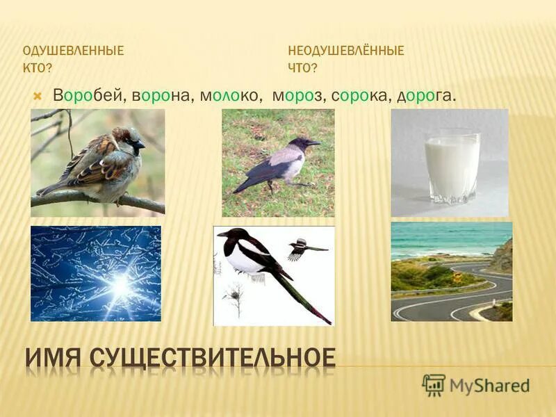 Подбери к данным существительным однокоренные глаголы. Однокоренное неодушевленное имя существительное к слову желтый. Подберите к данным словам. Воробушек однокоренные слова. Имена сущ одушевленные и неодушевленные.