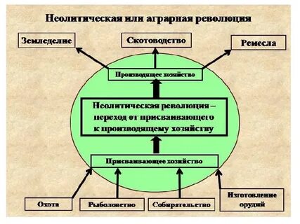 6 неолитическая революция