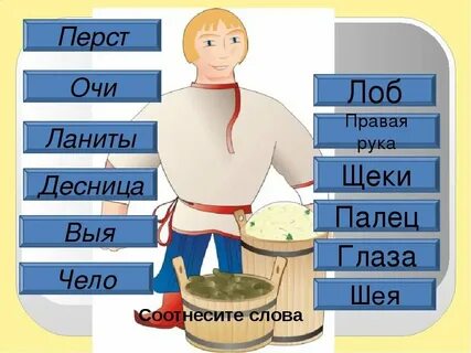 Чело лоб ланиты щеки
