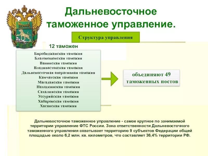 Структура таможенных органов РФ 2022. Структура таможенных органов РФ 2023. Дальневосточное таможенное управление структура. Структура управления ФТС России.