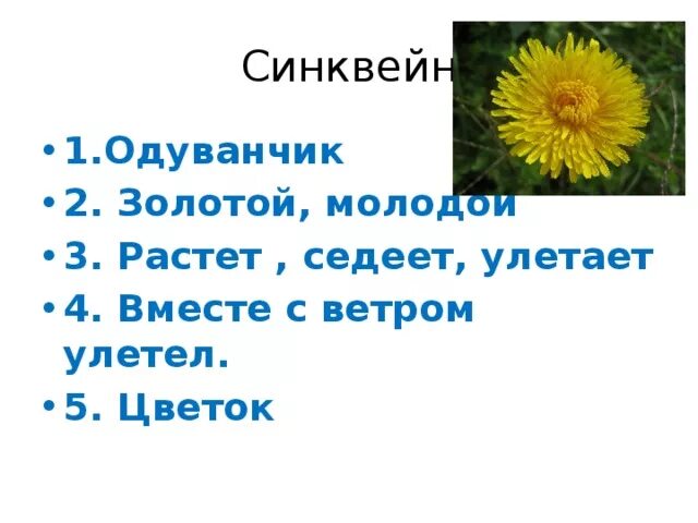 Тема произведения пришвина золотой луг. Синквейн одуванчик. Синквейн цветок. Синквейн на тему одуванчик. Синквейн растения.