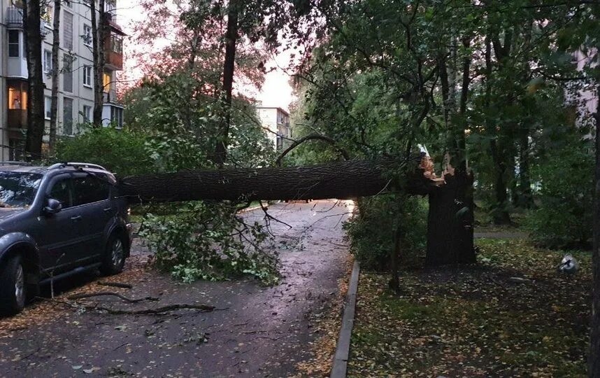 Ураган в спб вчера новости. Ураган в петербурге. Ураган в санкт петербурге. Ураган в питере сейчас. Санкт-петербург смерч 2021.