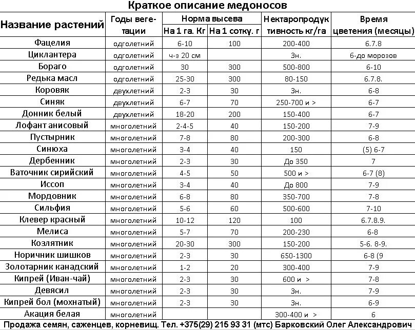 Люцерна семена на сотку. Фацелия урожайность семян с 1 га. Урожайность фацелии на семена с 1 га. Норма высева фацелии на 1 га. Норма высева фацелии на 1.