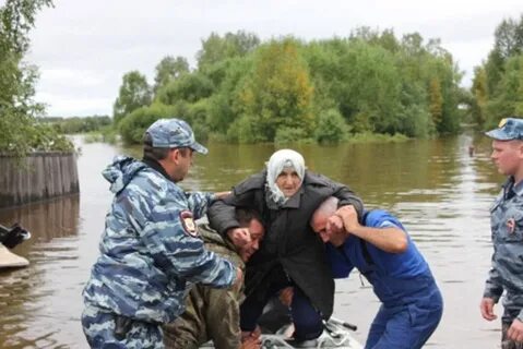 Чс овд