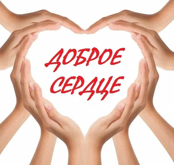 Доброе сердце. Человеку с добрым сердцем. С добрым сердцем на добрые дела. Большое доброе сердце