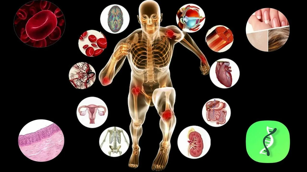 Сохранение человеческого в человеке. Организм человека. Анатомия и физиология человека. Физиология тела человека.