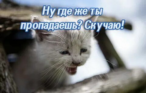 Где ты со словами
