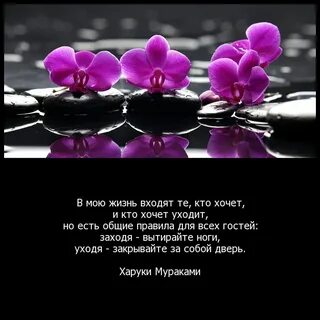 Дверь в чужую жизнь