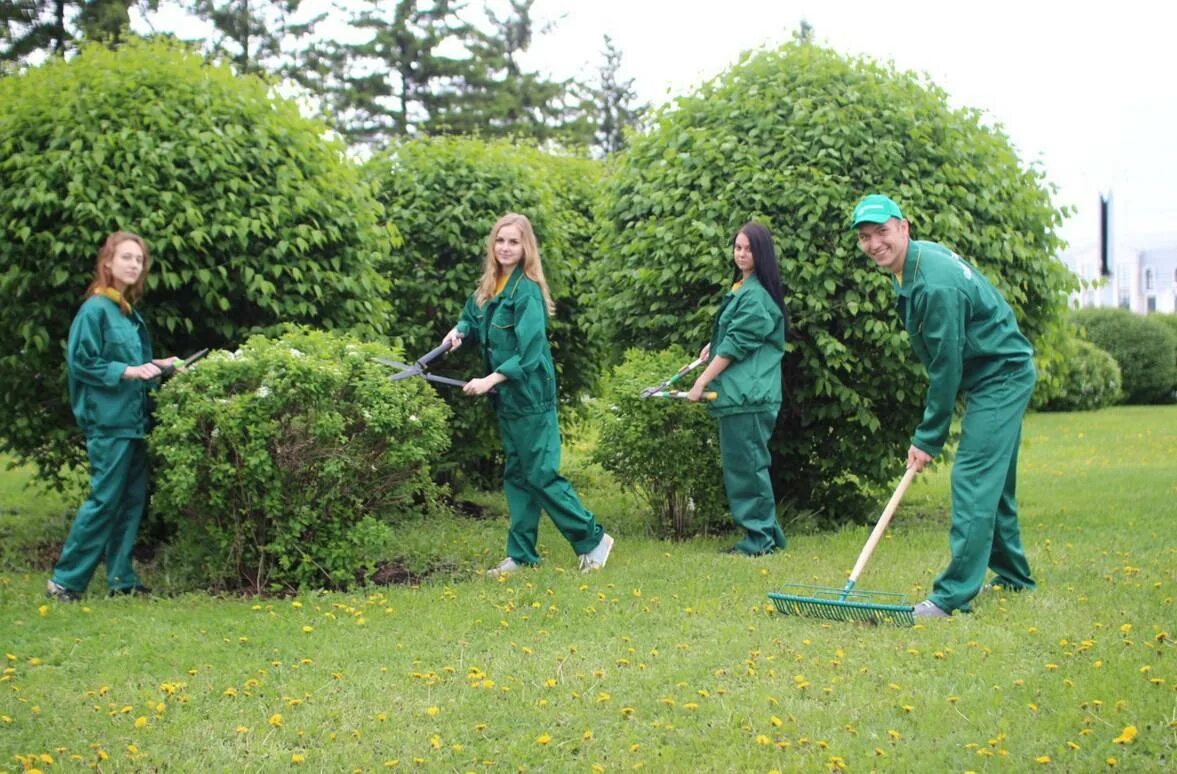 Стрижка кустов. Работник сада вакансии. Садовник озеленитель. Рабочий по озеленению. Агроном сад липецк.