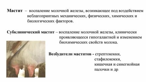 Уплотнение после мастита