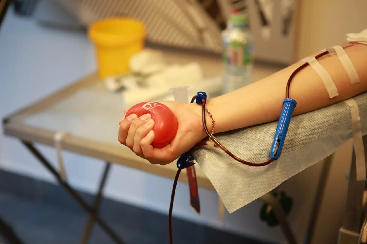Донор крови. Корпоративный день донора. День донора 14 июня.