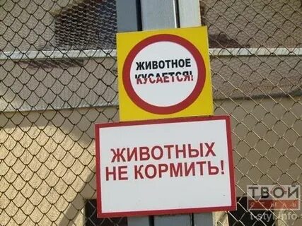 Ничем не кормить