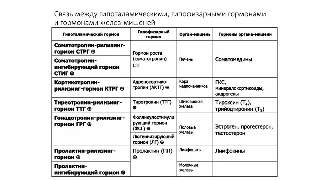 Орган мишень щитовидной железы. Органы мишени щитовидной железы. Органы мишени гормонов щитовидной железы. Тиреоидные гормоны органы мишени. Клетки мишени гормонов гипофиза.