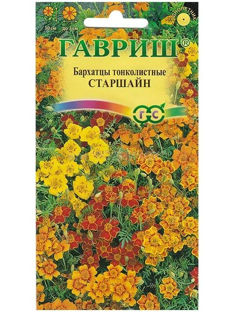 Гавриш фото цветов на клумбе Семена Обриета Чарующий Марокко: описание сорта, фото купить с доставкой или п
