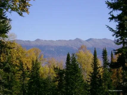 Погода курское курагинского красноярского края