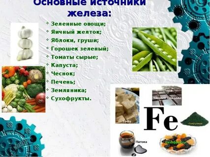 Кластер роль железа в жизнедеятельности организмов