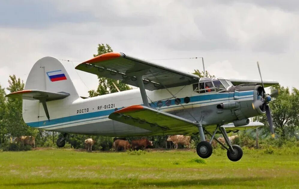 Самолёт-биплан ан-2. Ан2 в аэропорту барнаул. Ан-2 ссср. Ан-2 биплан. Производство ан 2.