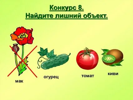 Помидор огурец растения