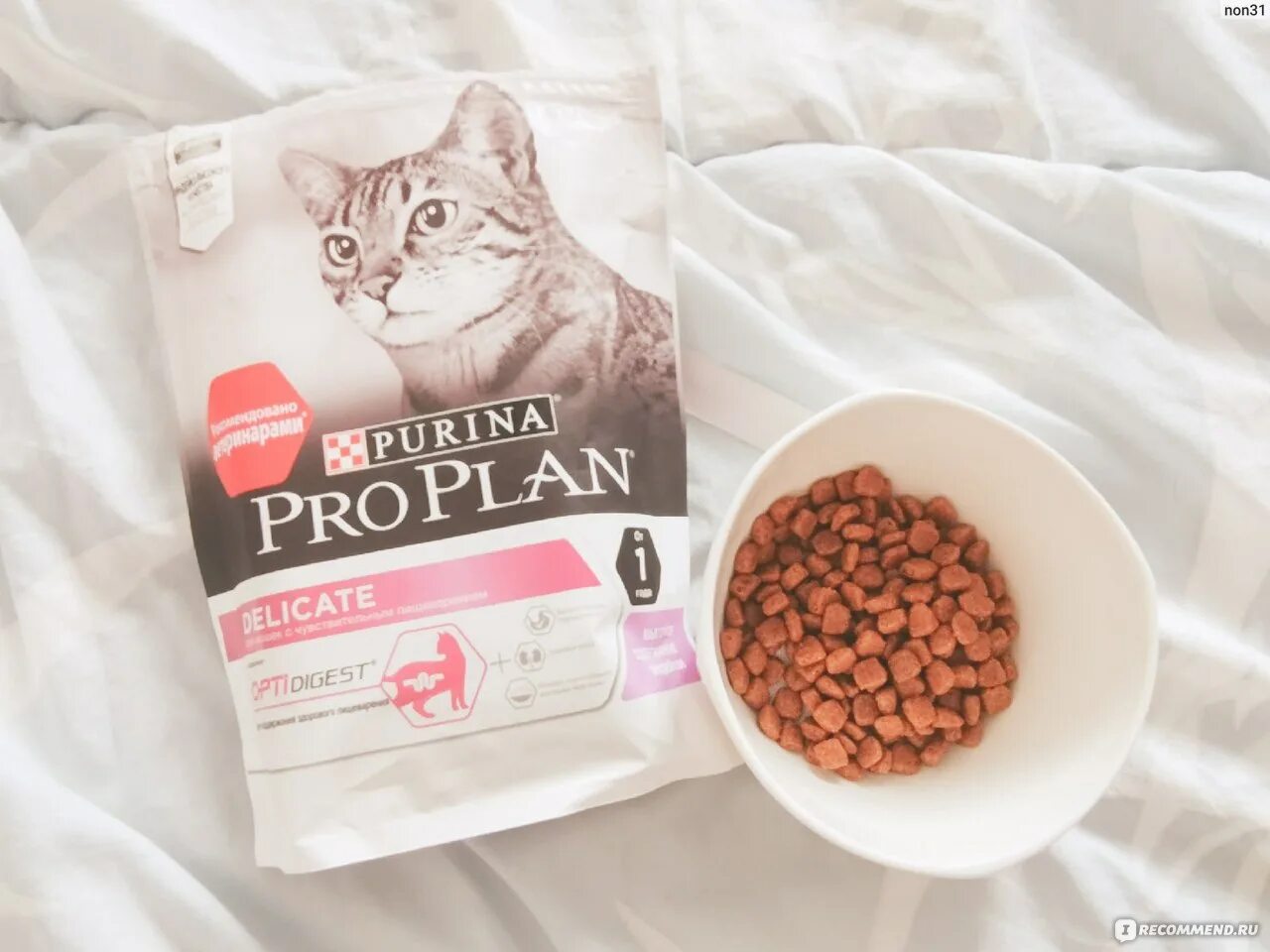 Сухой корм для кошек деликат. Pro plan сухой корм для кошек гранулы. гранулы корма корма для котят pro plan. pro plan для котят гранулы. корм для кошек проплан форма гранул.