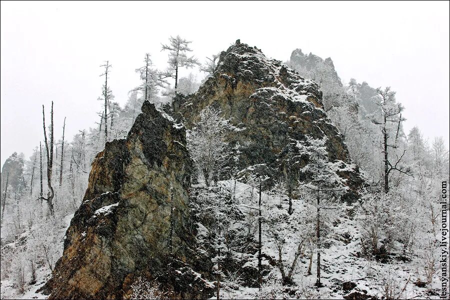 Погода в чаре на 10 дней