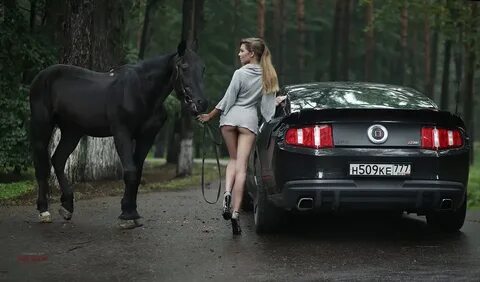 Dogging video