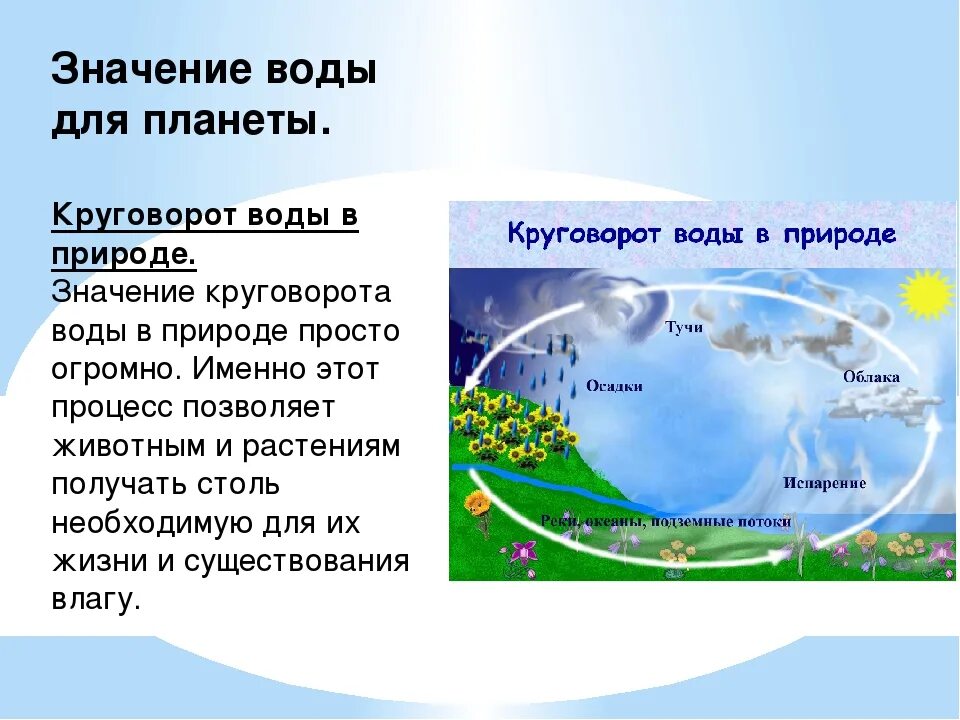 Какое значение имеет вода для растений кратко. Важность круговорота воды в природе. Значение круговорота воды в природе. Значение круговорота воды. Значение воды для жизни на земле.