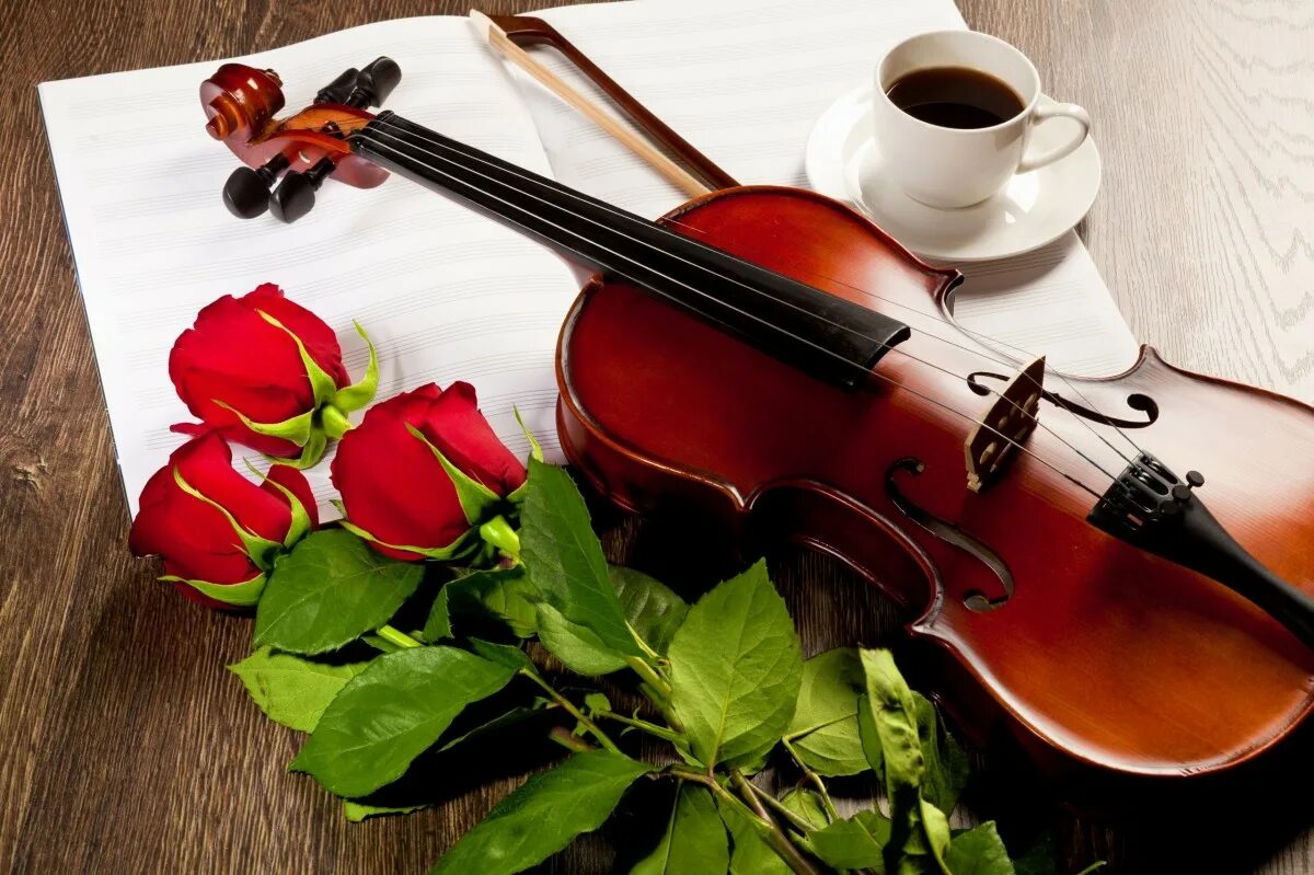 Музыку великолепная скрипки. Скрипка. Скрипка с цветами. Красивая скрипка. Натюрморт с музыкальными инструментами.