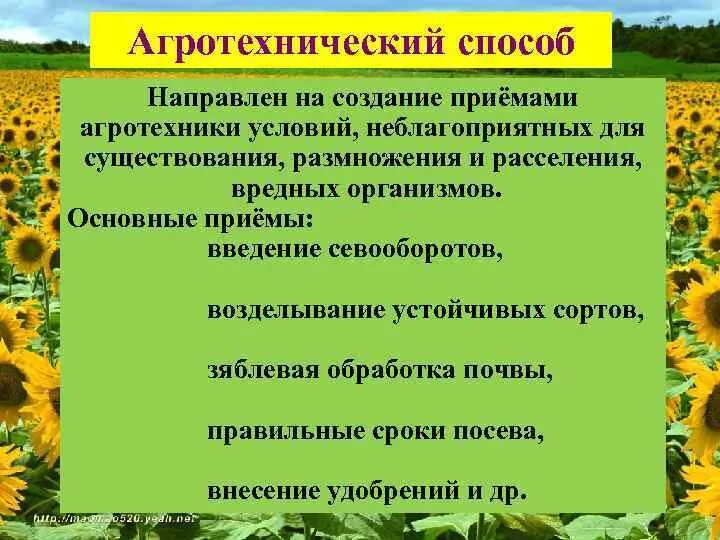 Агротехнические методы защиты растений. Агротехнические приемы выращивания культурных растений. Агротехнические приемы у растений. Агро технические приёмы. Этапы агротехнического приема