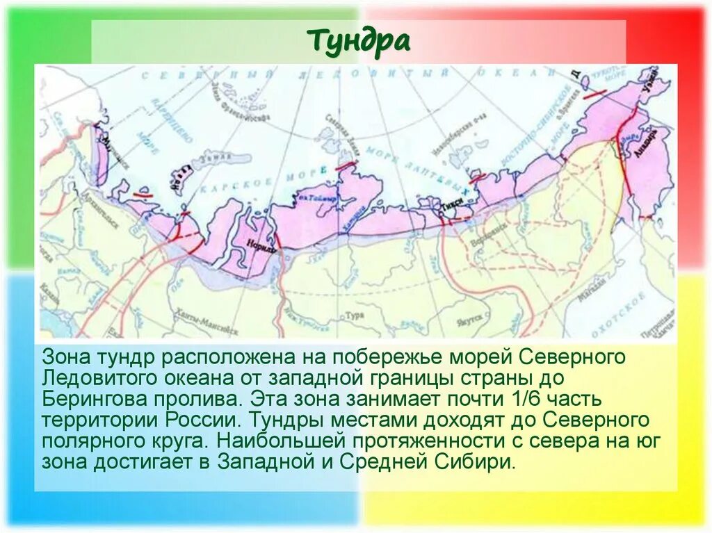 Тундра и лесотундра географическое положение в России на карте. Тундра на карте России природных зон. Тундра и лесотундра на карте природных зон. Зона тундры на карте России. Зона тундр располагается на севере россии