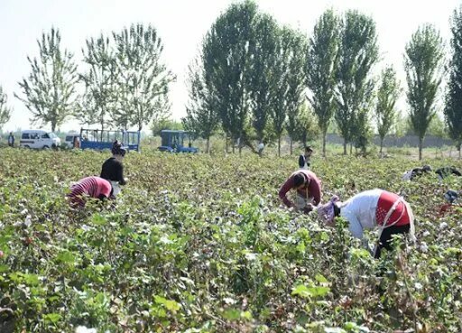 Об ҳаво жарқўрғон. Сурхондарё янгиликлари 2021 авария. Об ҳаво жарқўрғон. Об ҳаво жарқўрғон. Аномальная жара в ташкенте.