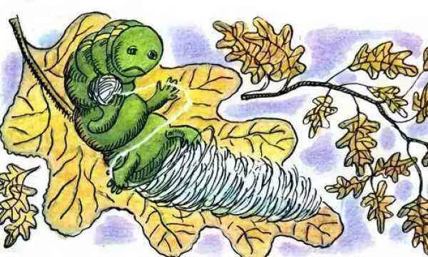 Заходер гусеница. Рисунок к истории гусеницы заходер.