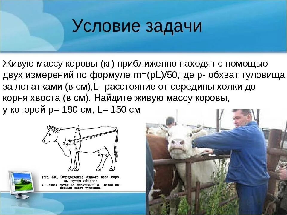 На 1 кг живой массы. Средний живой вес теленка. Средняя Живая масса КРС. Вес коровы. Живая масса коров.