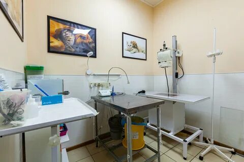 Ветклиника на профсоюзной ростов