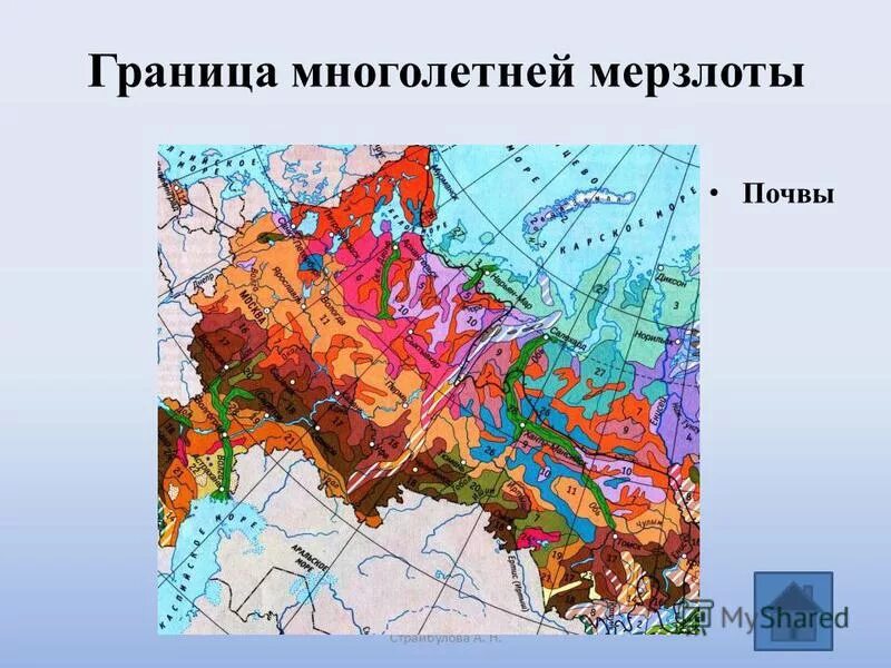 Карта почв Западной Сибири. Границы вечной мерзлоты в Западной Сибири. Почвенная карта Сибири. Почвенная карта Западной Сибири. Тип почвы русской равнины