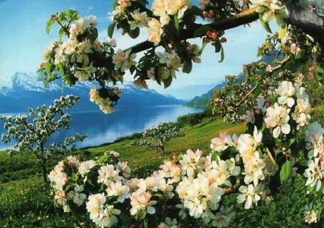 Beautiful l