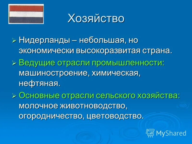 Презентация бенилюкс 3 класс плешаков. Нидерланды окружающий мир 3 класс краткое сообщение. Нидерланды доклад 3 класс. Нидерланды сообщение 3 класс окружающий мир. Сообщение про Нидерландию.