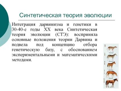5 теорий эволюции