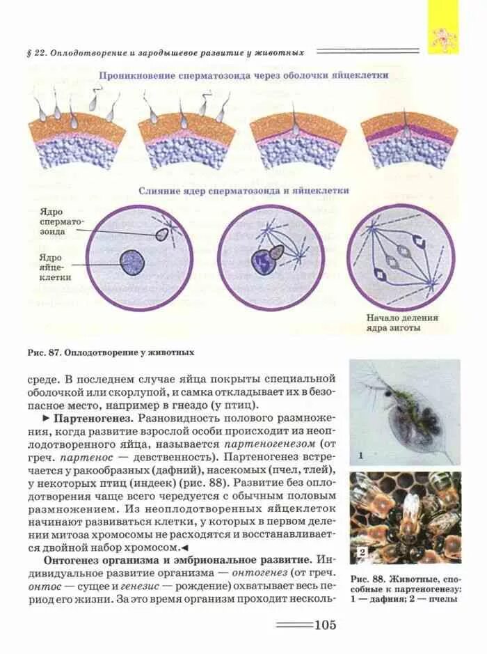 Петросова биология читать. Биология 9 класс учебник Никишов. Петросова биология. Учебник биологии углубленный курс 10 класс Петросова. Размножение и развитие семенных растений Теремов Петросова.