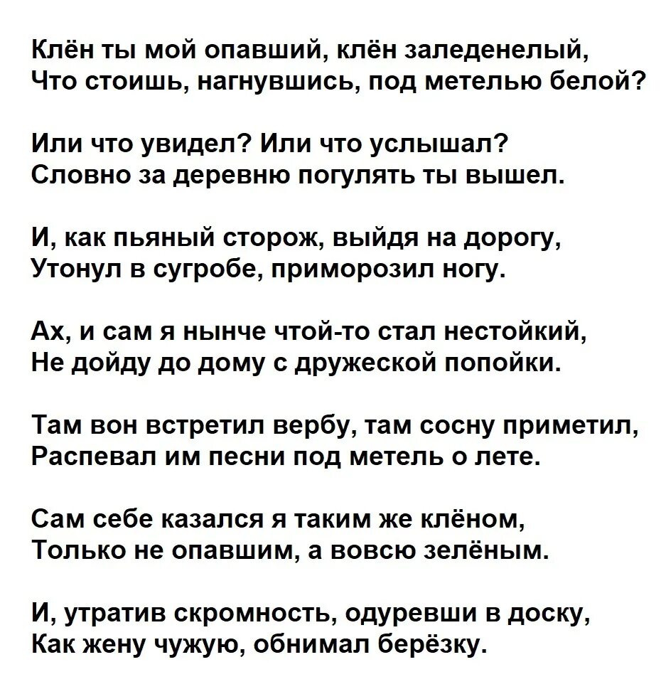 Клен ты мой опавший.... Стихотворение клен ты мой опавший. Есенин клён ты мой.