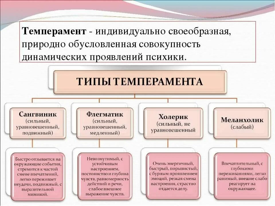 Как называется совокупность индивидуальных особенностей