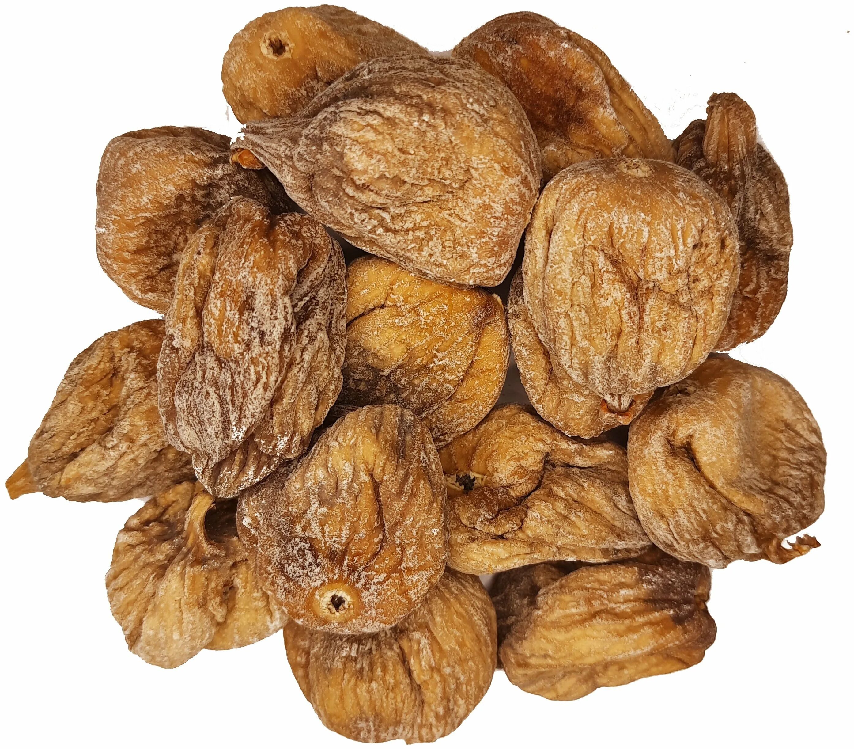 инжир белый королевский. инжир сорт далматский. инжир далматский. сорт инжира кадота. инжир далматский белый.