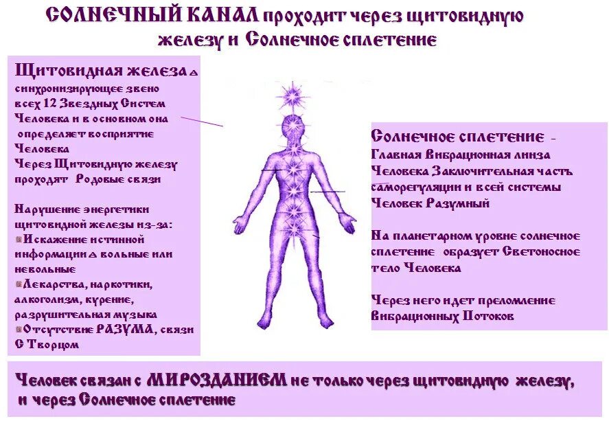 Солнечное сплетение какой врач