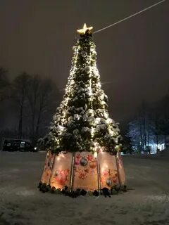 Елки петрозаводск