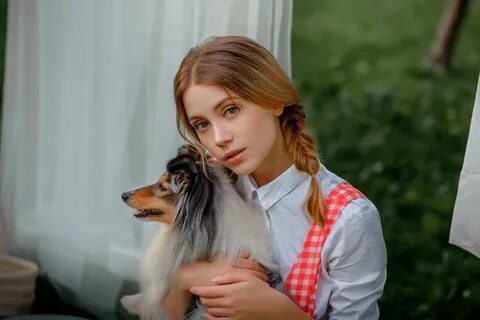 Blonde dog