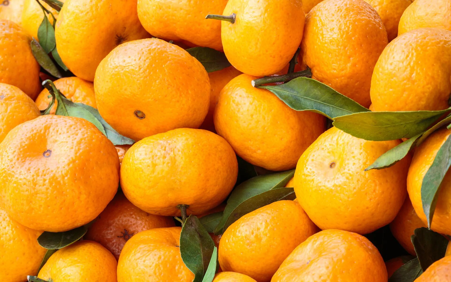 Обои фрукты. Мандарин Турция Танжерин. Мандарин желтый сорт. Мандарин скрещенный с апельсином. Апельсины с листом.