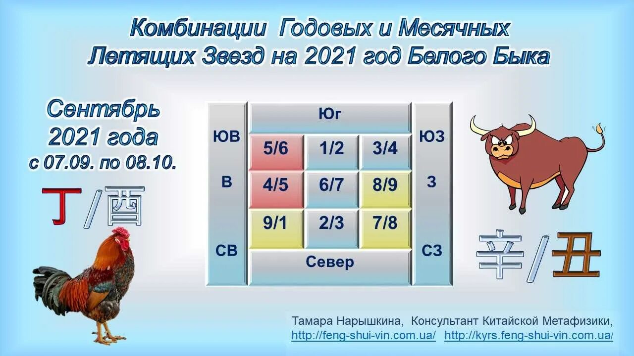 Следующий год 2021 какого. Летящие звезды года. Летящие звезды 2021 года. Летящие звезды на август 2021 года. Годовые летящие звезды 2021.