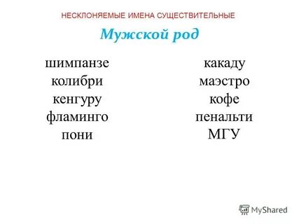 Определите род несклоняемых существительных шимпанзе